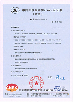振動源隔爆型三相異步電動機