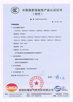 振動源隔爆型三相異步電動機